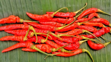 red hot chili peppers