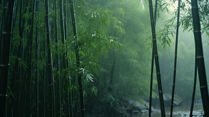 Obraz premium A Group of Bamboo Trees Next to a River
