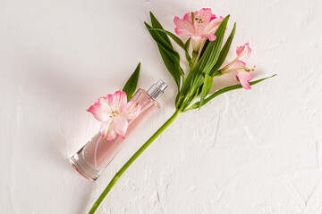 Beautiful tall bottle of cosmetic spray or women's perfume lies on white background with pink astromeria flower. Top view. a copy space.
