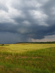 clouds over the field