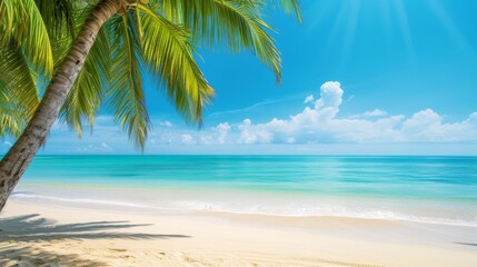 Fototapeta na wymiar Tropical beach scene with clear blue sky and palm trees for a summer background
