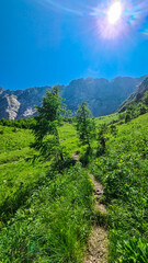 Naklejka premium Panoramic hiking trail in idyllic forest looking at massive mountain ridges of Julian Alps in summer. Italian Alps near Tarvisio, border Slovenia and Austria, Friuli Venezia Giulia, Italy, Europe