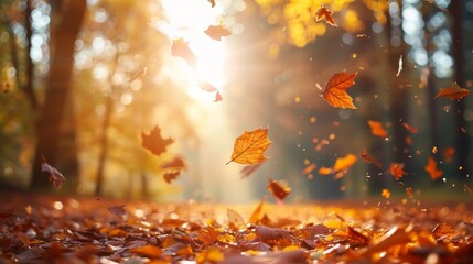Sunny autumn forest background with falling leaves and warm light