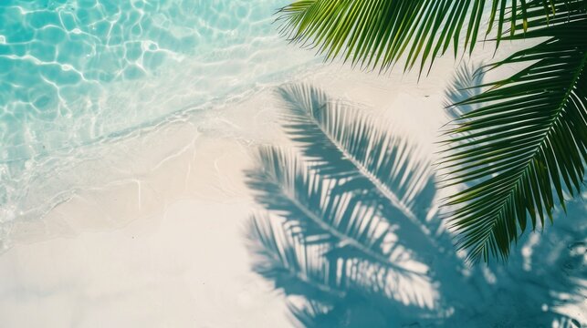 top view of water surface with tropical leaf shadow. Shadow of palm leaves on white sand beach.