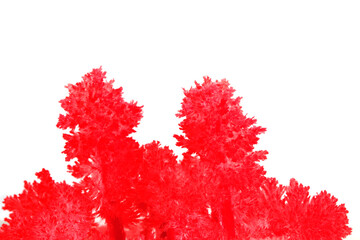 Macro image red salt crystal on white background.