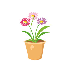 Naklejka na ściany i meble flower in a pot