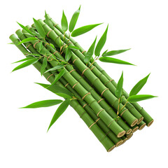 a bunch of bamboo stems with leaves