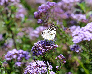 Un moment d'insouciance