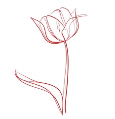 Elegant hand drawn line of blooming tulips, perfect for spring season decor and design