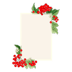 Viburnum rowan rectangle red berry vector frame rustic floral bouquet illustration. Wedding greeting design, fresh forest and garden harvest.