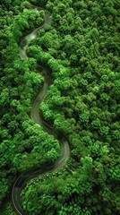 Birds Eye Tranquility, Aerial View of Road Cutting Through Forest in Serene Landscape, Captured in Strict Top View