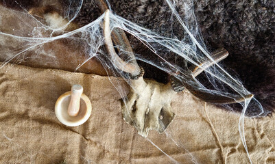 skull with horns in spider web - obrazy, fototapety, plakaty