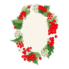 Viburnum rowan red oval berry vector frame rustic floral bouquet illustration. Wedding greeting design, fresh forest and garden harvest.