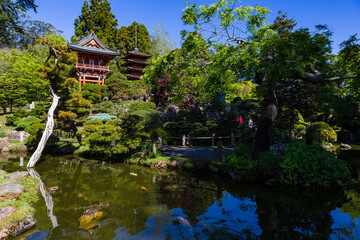 Fototapeta na wymiar Japanese garden in San Francisco