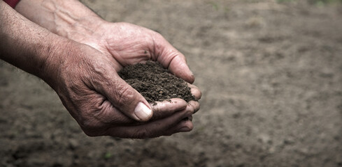 Man's hands holding a handful of earth