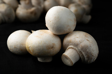 Mushrooms on a black background.Sale of mushrooms and champignons.