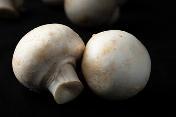 Mushrooms on a black background.Sale of mushrooms and champignons.