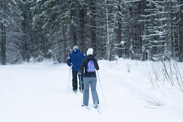 People ski in winter on a ski track through a winter forest.Cross Country skiing.