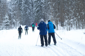 People ski in winter on a ski track through a winter forest.Cross Country skiing.