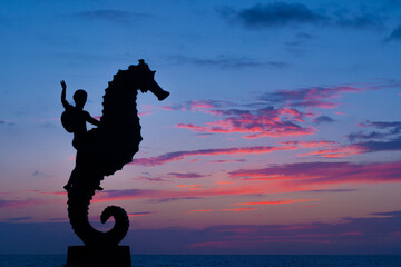 caballito de mar, en el malecon de puerto vallarta © JP STUDIO