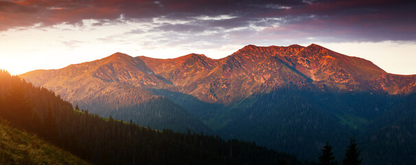 Fototapeta na wymiar Mountain range in the morning rays of the sun. Carpathian National Park, Ukraine.