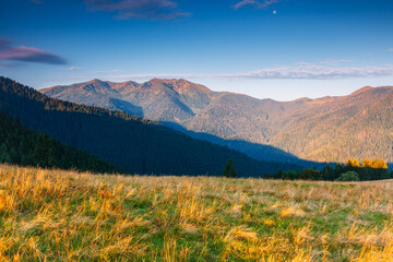 Breathtaking view of the mountainous area in morning. Carpathian National Park, Ukraine.