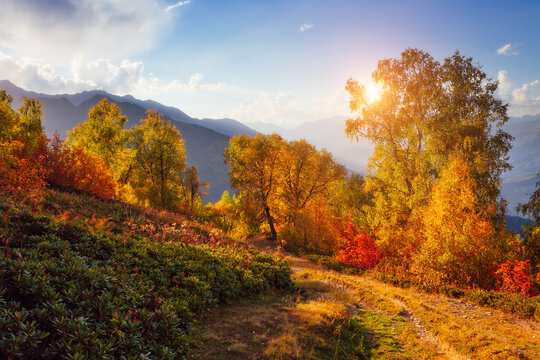 A gorgeous view of the mountain area with autumn trees. Zemo Svaneti, Georgia, Main Caucasian ridge.