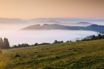 A tranquility view of the mountainous area in the haze. Carpathian National Park, Ukraine, Europe.