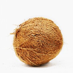 A square cropped coconut image on a white background