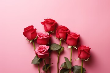 red roses on a pink background for greetings 