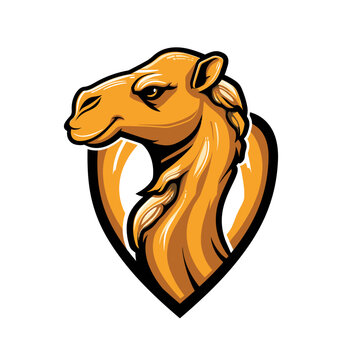 Esport vector logo camel, icon, sticker, symbol, head