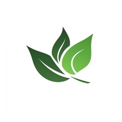 green tea leaf logo, graphic on white background 