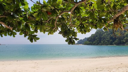Blue Water Beach Green Tree Pangkor Island Malaysia