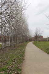 path in the park