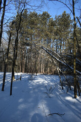 La Plaine 4 Février 2024