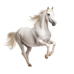 Naklejka na ściany i meble White Horse in epic Pose isolated on transparent and white background. Ideal for use in advertising. Generative ai