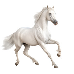 Obraz na płótnie Canvas Celestial Grace: White Horse in epic Pose isolated on transparent and white background. Ideal for use in advertising. Generative ai