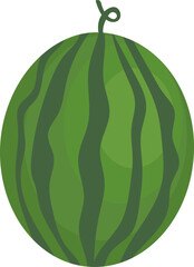 Watermelon isolated on white. Vector illustration
