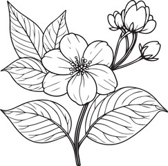 Topicial flower pansy coloring pages. pansy flower line art, pansy flower tattoo designs, Realistic flower coloring pages, pansy flower vector sketch, traditional pansy tattoo, capricorn pansy tattoo