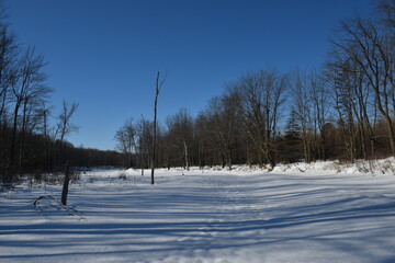 La Plaine 4 F&eacute;vrier 2024