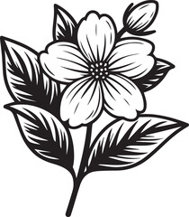 Jasmine flowers illustration coloring page, simplicity, Embellishment, monochrome, vector art, Outline print with blossoms jasmine flower, jasmine bouquet leaves, and buds, jasmine flower tattoo draw