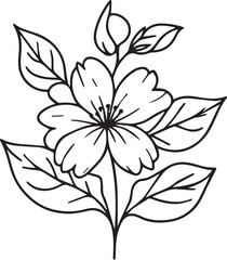Cute flower coloring pages, jasmine drawing, white jasmine line art coloring page, easy jasmine flower drawing. jasmine flower art, outline jasmine flower drawing