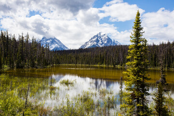 Fototapeta na wymiar Summer landscape in Jasper National Park, Canada