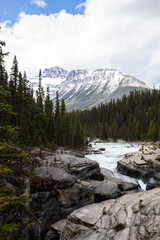 Fototapeta premium Summer landscape in Mistaya Canyon, Banff National Park, Canada
