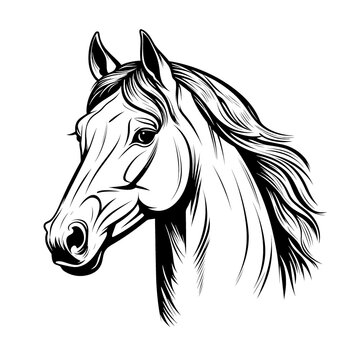 a black and white drawing of a horse