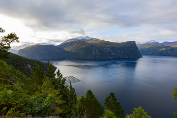 Obraz premium Autumn landscape in Bergen to Alesund road, south Norway. Europe