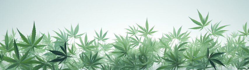 Green Cannabis Leaf Collection on a Soft White Gradient Background