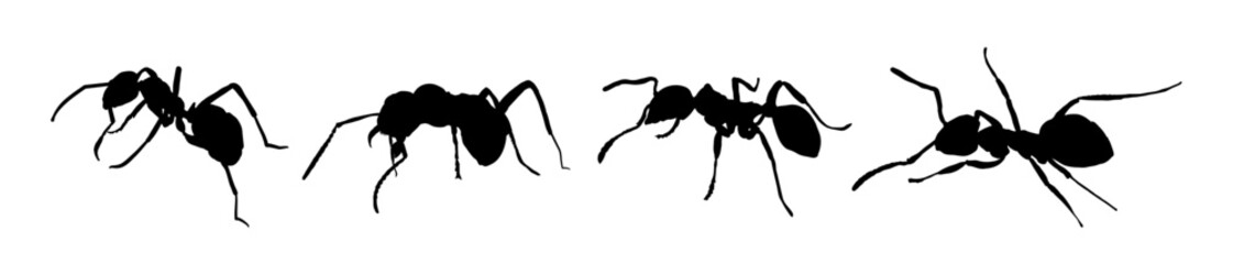  Set of ant silhouette - vector illustration