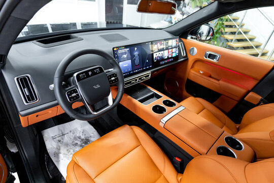 interior of a car detail LI L9 SUV Lixiang L9 luxury 
