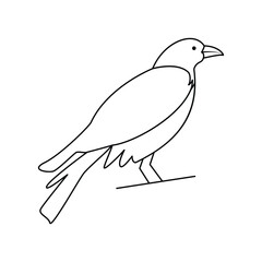 Obraz premium Crow single continuous one line out line vector art drawing and tattoo design 